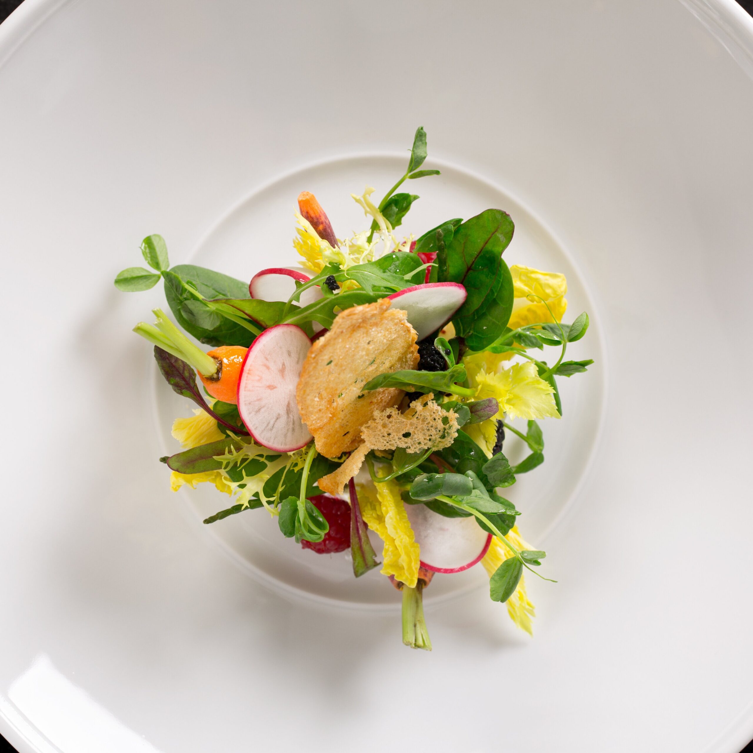 Salad on a white plate